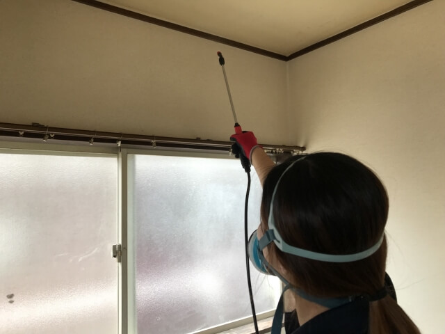 角部屋で防虫スプレーを使用する女性
